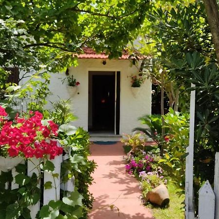 برايا إيه ماري La Corte Delle Rose B&B المظهر الخارجي الصورة