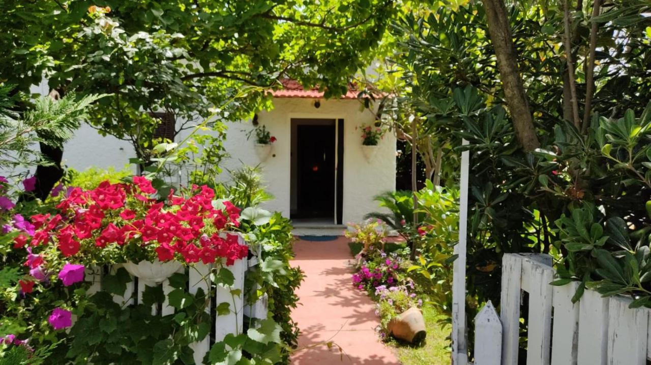 برايا إيه ماري La Corte Delle Rose B&B المظهر الخارجي الصورة