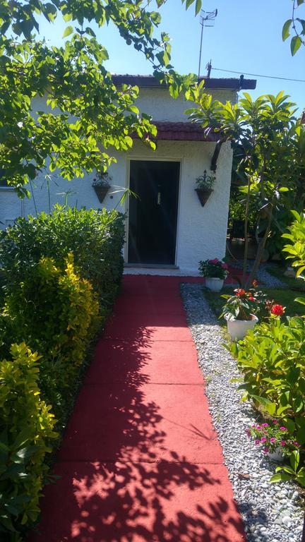 برايا إيه ماري La Corte Delle Rose B&B المظهر الخارجي الصورة