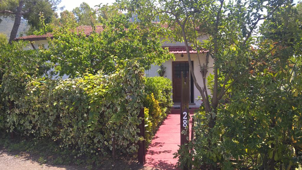 برايا إيه ماري La Corte Delle Rose B&B المظهر الخارجي الصورة